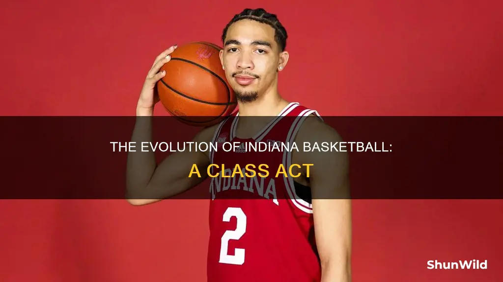 what year did indiana go to class basketball