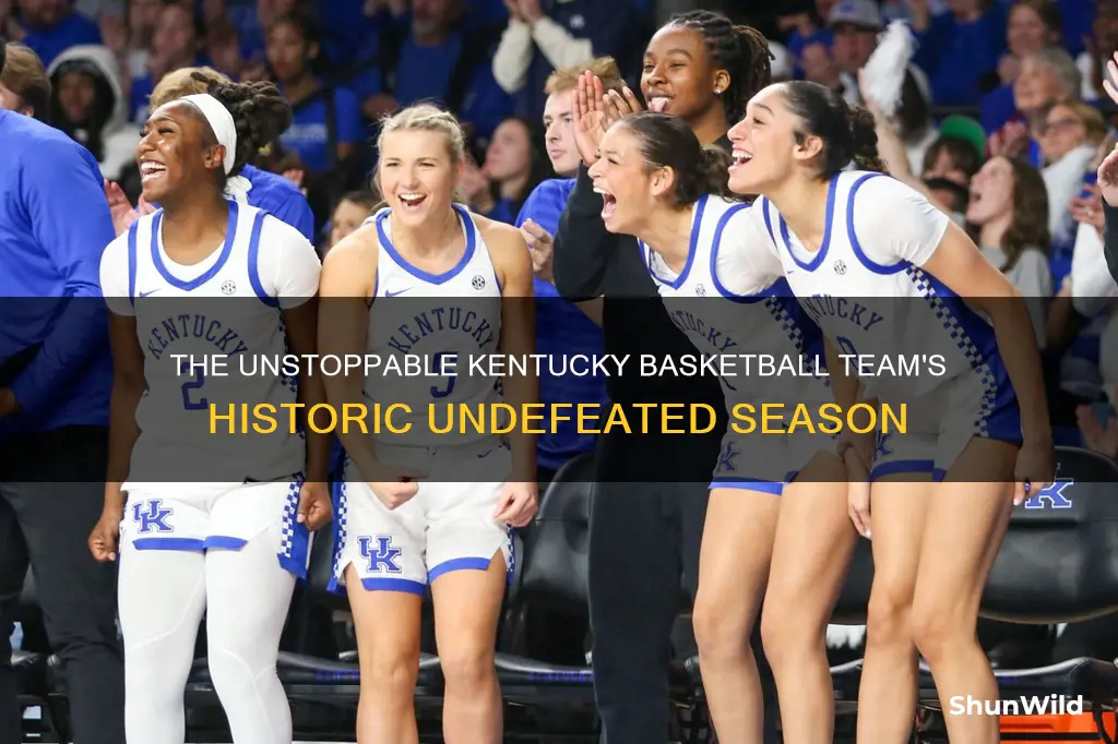 what year did kentucky basketball go undefeated