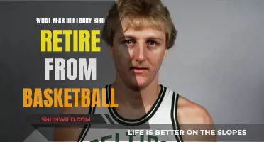 The Year Larry Bird Left Basketball Behind