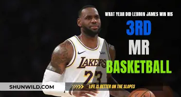 LeBron's Legacy: 2003, the Year of the 3rd Mr. Basketball