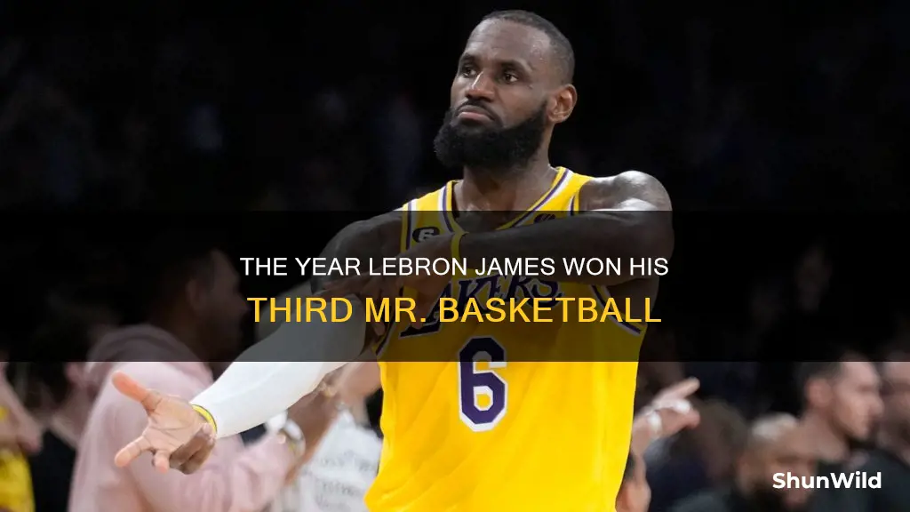 what year did lebron james win his 3rd mr basketball