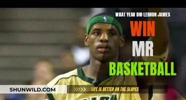 LeBron's Early Dominance: The Year He Won Mr. Basketball