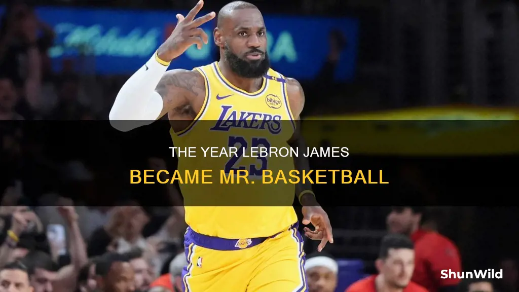what year did lebron james win mr basketball