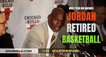 Michael Jordan's Basketball Retirement: A Year to Remember