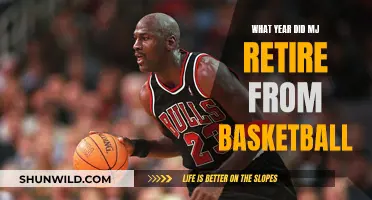 MJ's Basketball Retirement: A Year to Remember