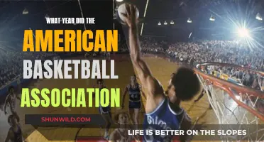 The American Basketball Association: A Historical Overview
