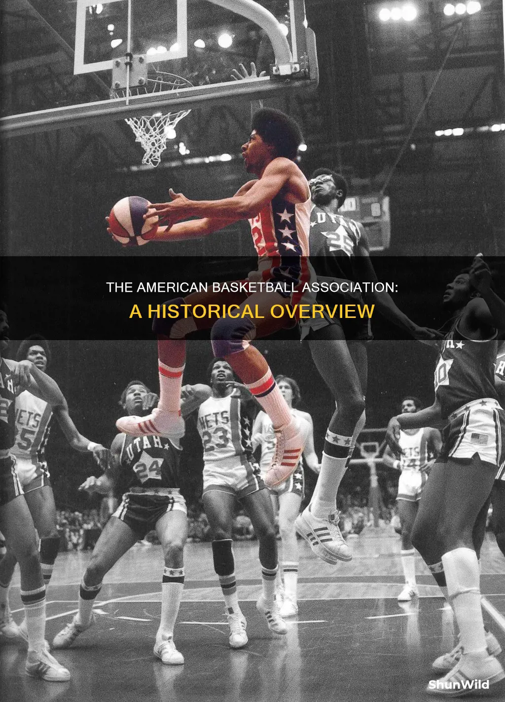 what year did the american basketball association