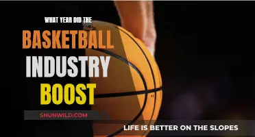 The Basketball Industry's Historic Boom Year