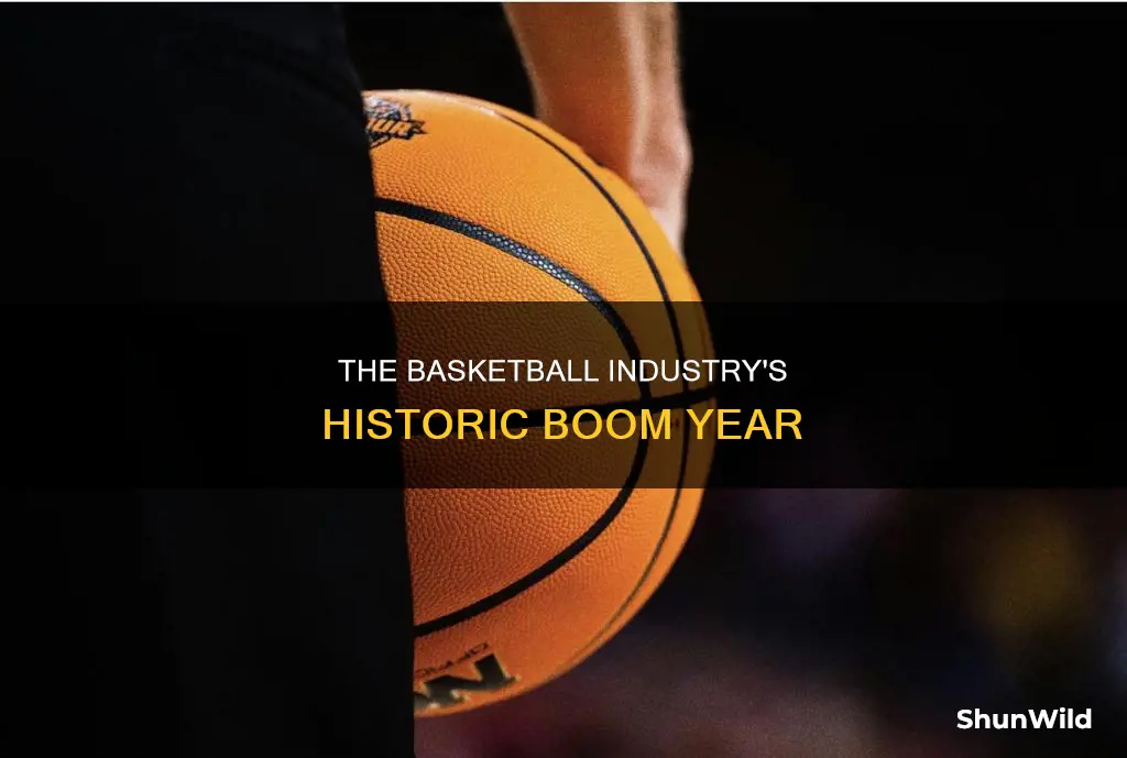 what year did the basketball industry boost