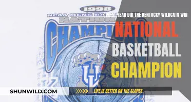 UK's Wildcats: National Champions in the 1990s