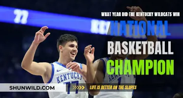 Wildcats' Historic Win: A Championship Year to Remember
