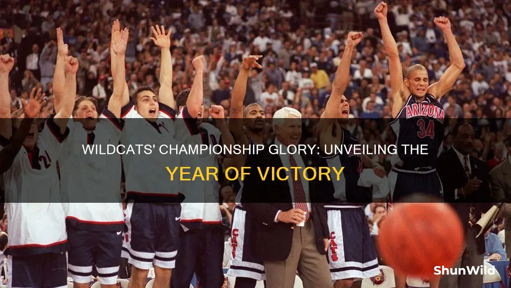 what year did the wildcats win national basketball champion