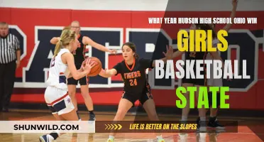 Hudson High School Girls: State Basketball Champions