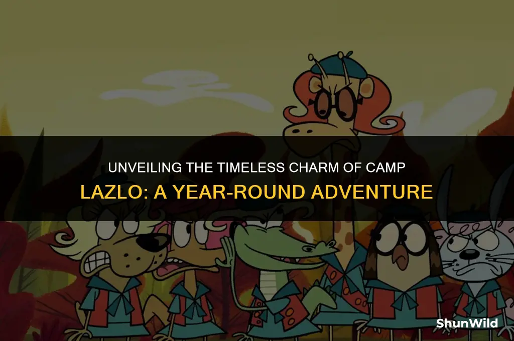 what year is camp lazlo