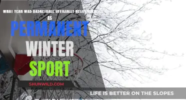 The Year Basketball Became a Winter Olympic Sport