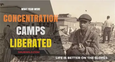 Liberation of Concentration Camps: The Year Freedom Returned to Europe