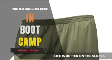When Were Silkies Introduced in Military Boot Camp Training?