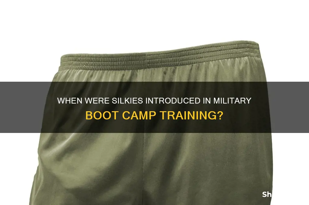 what year were silkies issued in boot camp