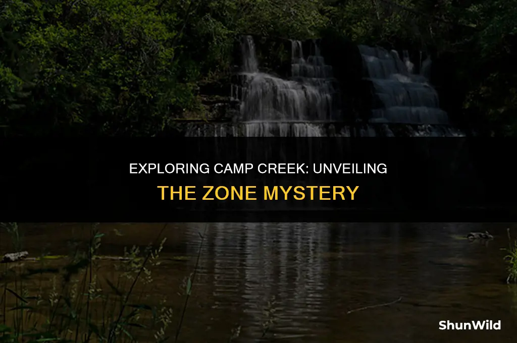 what zone is camp creek