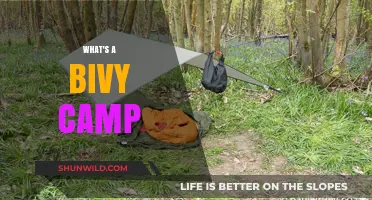 Exploring the Great Outdoors: What's a Bivy Camp?