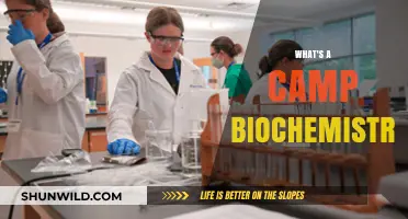 Exploring the Fundamentals of Camp Biochemistry: A Beginner's Guide