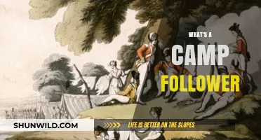 Exploring the Intriguing World of Camp Followers: A Comprehensive Guide