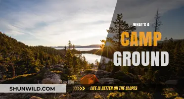 Exploring the Great Outdoors: What Makes a Campground?