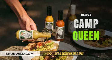 Royal Vibes: Unveiling the Majestic World of Camp Queens