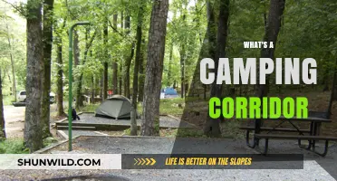Exploring the Great Outdoors: What's a Camping Corridor?