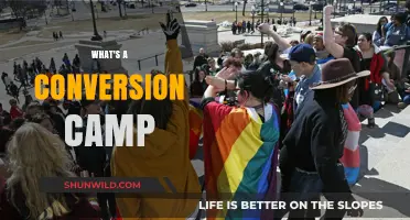 Unveiling the Truth: What's a Conversion Camp and Its Impact?