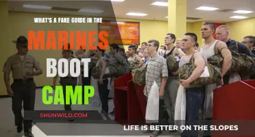 Unveiling the Myth: Fake Guides in Marine Boot Camp Exposed