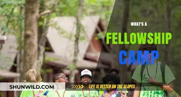 Exploring Fellowship Camps: A Journey into Community and Growth