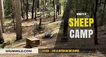 Exploring the Rustic Charm of Sheep Camps: A Pastoral Retreat