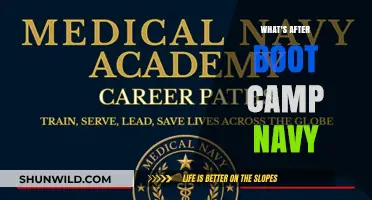 Life After Navy Boot Camp: Next Steps and Career Paths