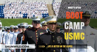 Life After USMC Boot Camp: Next Steps and Career Paths
