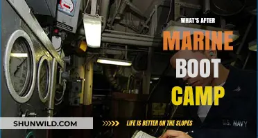 Life After Marine Boot Camp: Next Steps and Career Paths