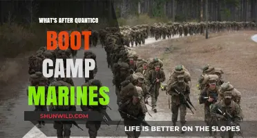 Life After Quantico: What's Next for Marines Post-Boot Camp?