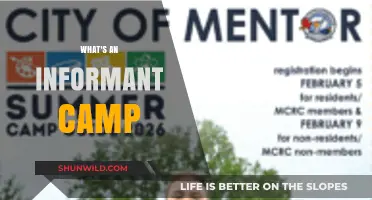 Understanding Informant Camps: A Comprehensive Guide