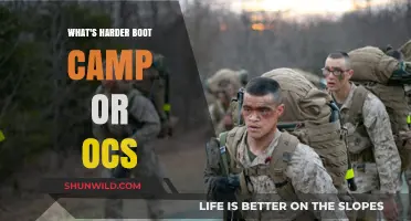 Boot Camp vs. OCS: Which Military Challenge Tests You More?