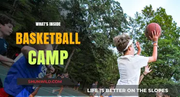 Unveiling the Secrets: A Sneak Peek Inside Basketball Camp