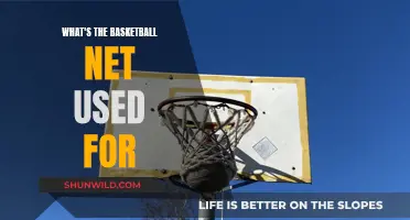 The Purpose of Basketball Nets: Function and Design