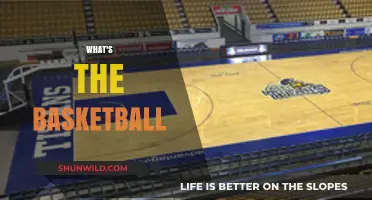 The Ultimate Basketball Guide: Rules, Gear, and History