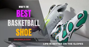Best Basketball Shoes: Choosing the Perfect Pair