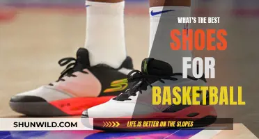 Best Basketball Shoes: Choosing the Perfect Pair