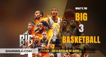 Big 3 Basketball: The Ultimate Hoops Challenge