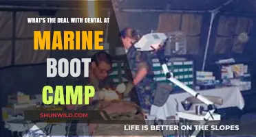Dental Care at Marine Boot Camp: What Recruits Need to Know