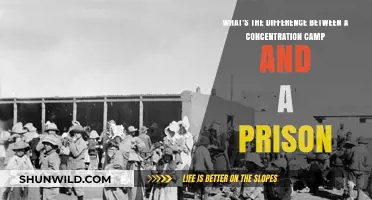 Concentration Camps vs. Prisons: Key Differences Explained