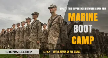 Army vs. Marine Boot Camp: Key Differences and Challenges Explained