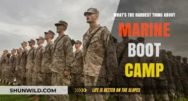 Surviving Marine Boot Camp: The Ultimate Mental and Physical Challenge