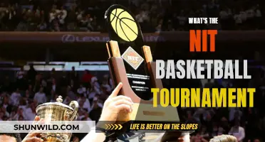 The NIT Basketball Tournament: What, When, and Where